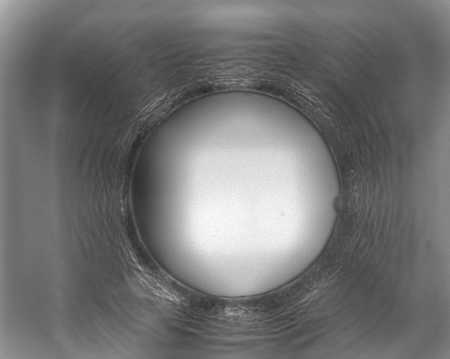 X0000059230641200510140827
