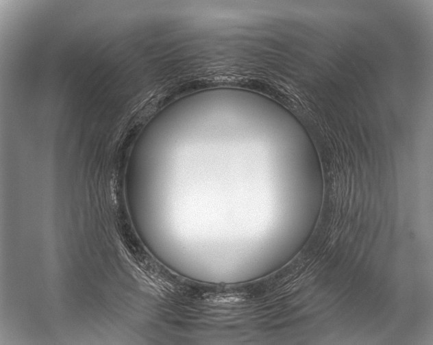 X0000059230643200510140827