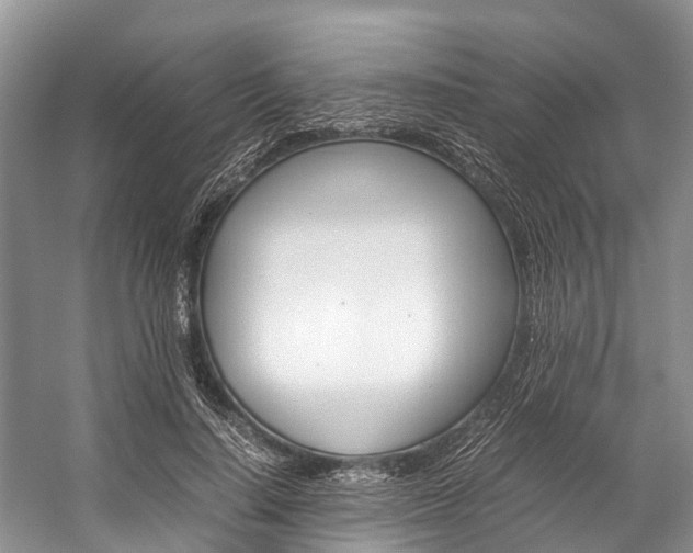 X0000059230644200510140827