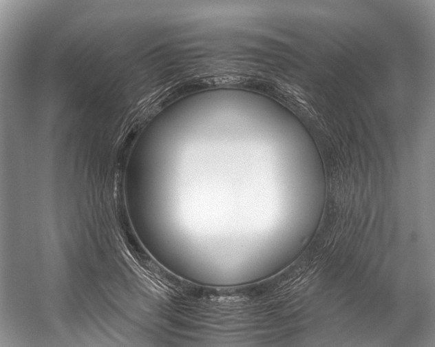X0000059230645200510140827