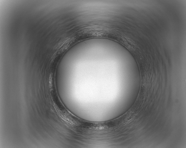 X0000059230646200510140827