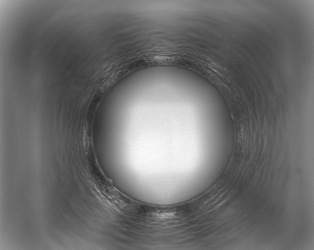 X0000059230651200510140828
