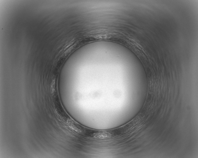 X0000059230652200510140828