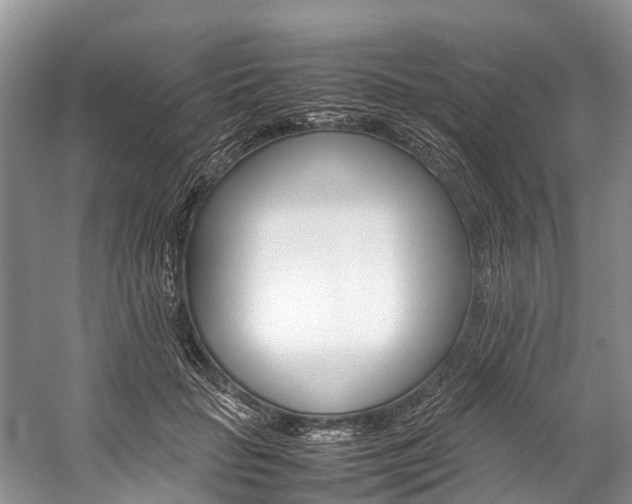 X0000059230653200510140828