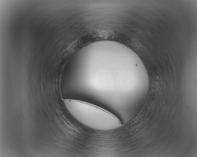 X0000059230656200510140828