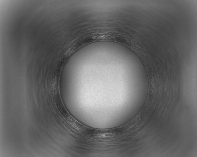 X0000059230657200510140828