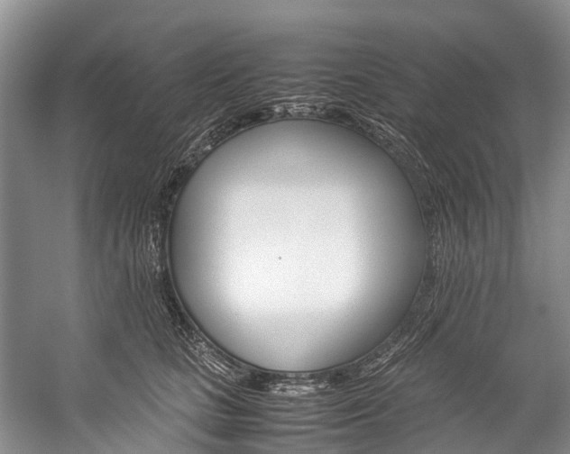 X0000059230661200510140828