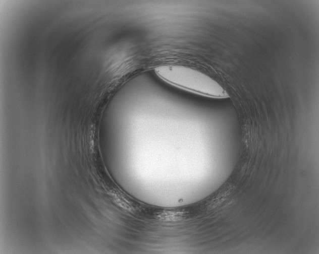 X0000059230664200510140828
