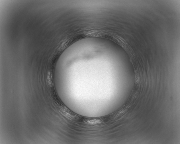 X0000059230669200510140828