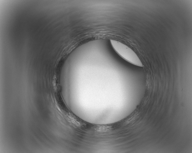 X0000059230670200510140828