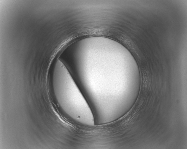 X0000059230674200510140827