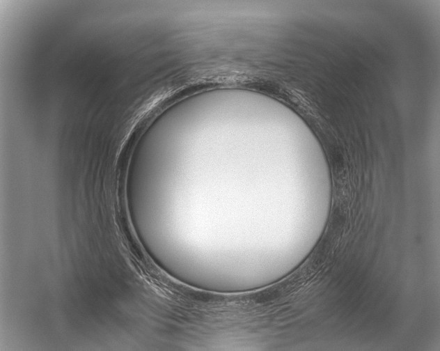 X0000059230679200510140827