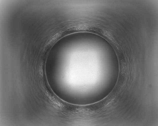 X0000059230681200510140827