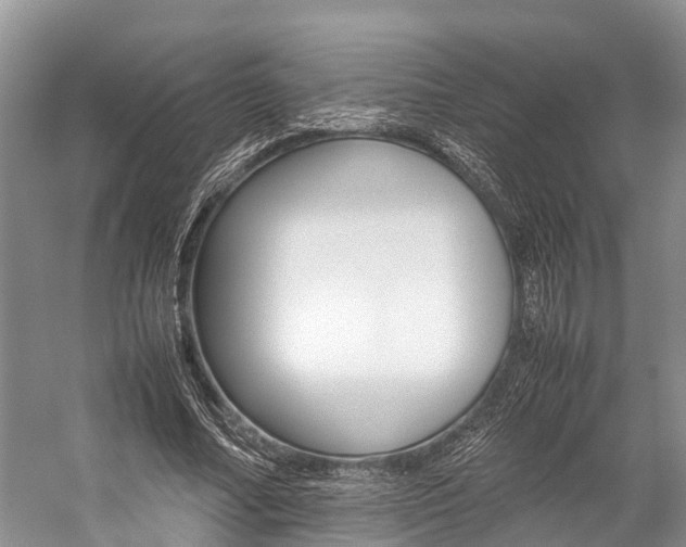 X0000059230682200510140827