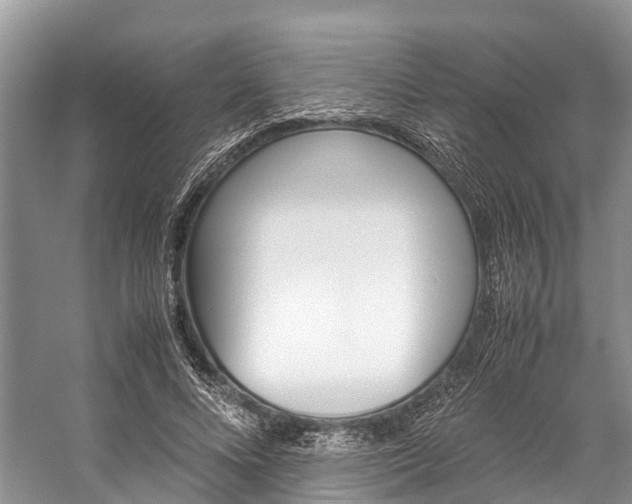 X0000059230688200510140827