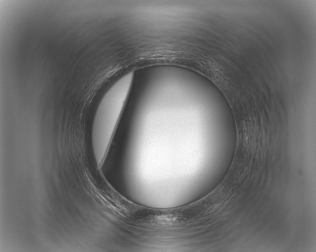 X0000059230692200510140827