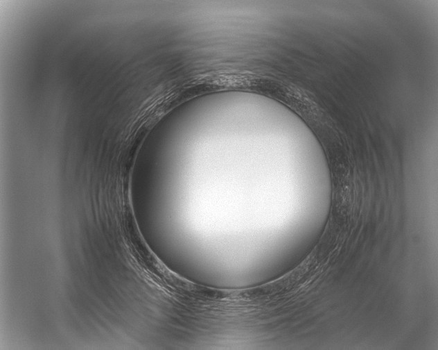 X0000059230696200510140827