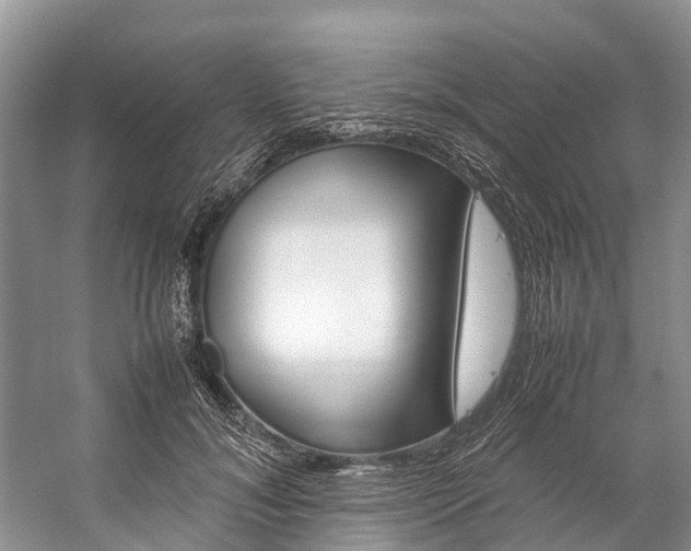 X0000059230700200510140827