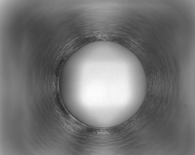 X0000059230702200510140827