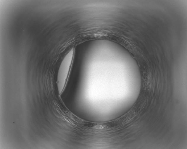 X0000059230704200510140827