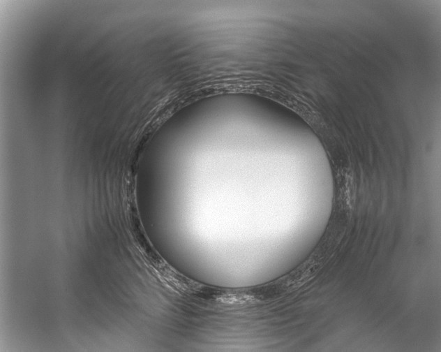 X0000059230712200510140826