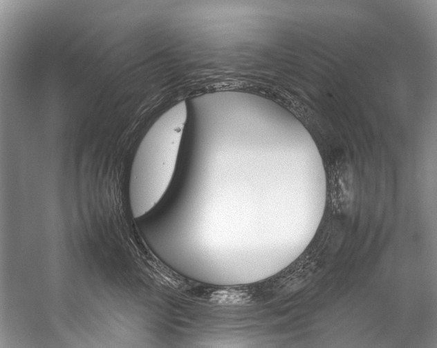 X0000059230714200510140826