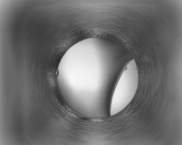 X0000059230719200510140826