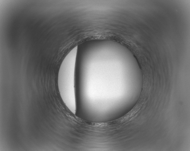 X0000059230720200510140826