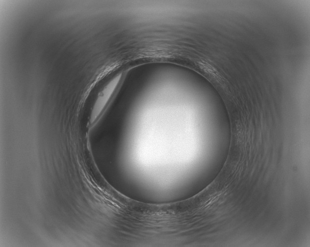 X0000059230731200510140826