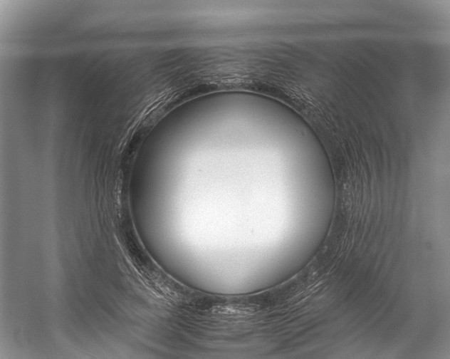 X0000059230739200510140826