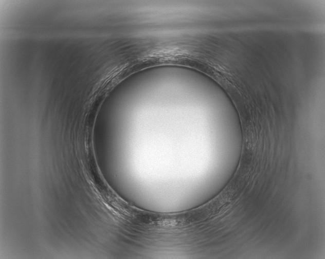 X0000059230740200510140826
