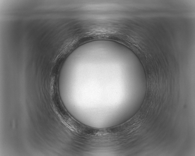 X0000059230742200510140826