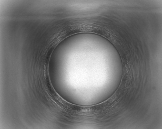 X0000059230744200510140826