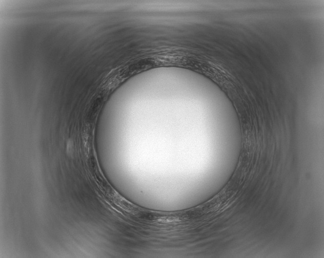 X0000059230749200510140826