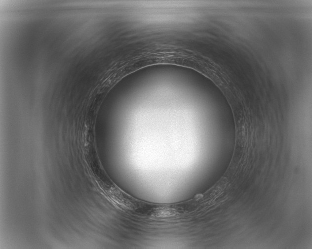 X0000059230750200510140826