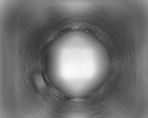 X0000059230754200510140826