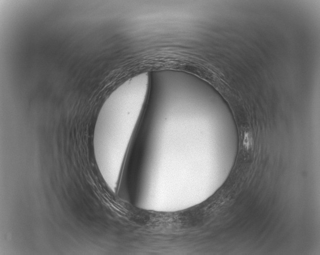 X0000059230771200510140825
