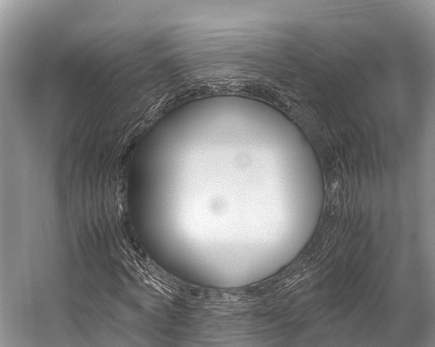 X0000059230772200510140825