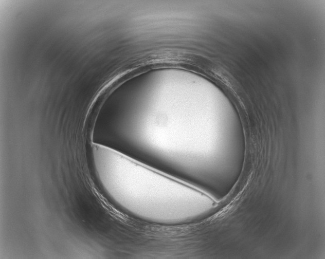 X0000059230779200510140825