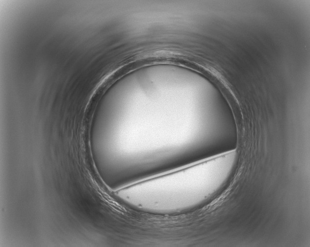 X0000059230783200510140825