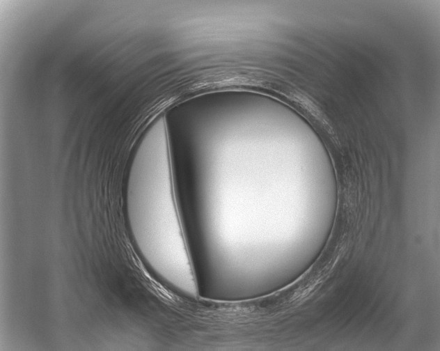 X0000059230793200510140825