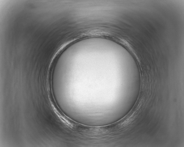 X0000059230795200510140825