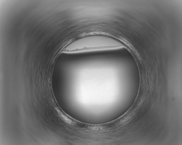X0000059230801200510140825