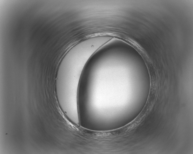 X0000059230809200510140825