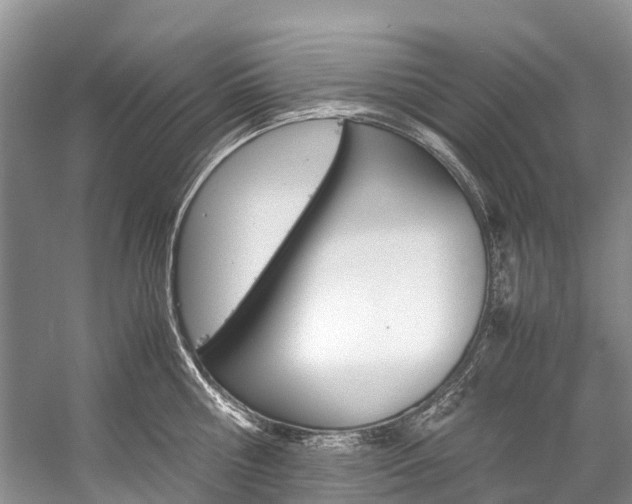 X0000059230810200510140825