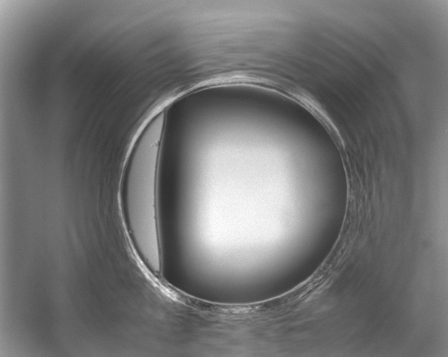 X0000059230813200510140825