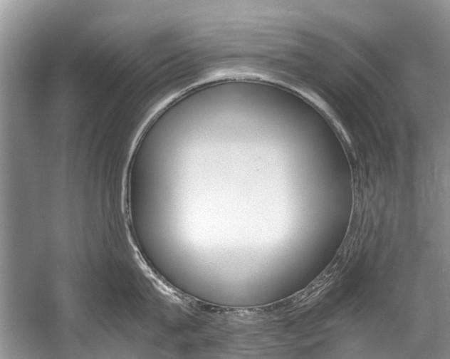 X0000059230815200510140825