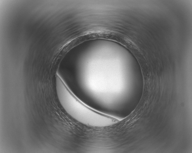 X0000059230822200510140824