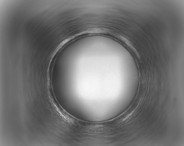 X0000059230837200510140824