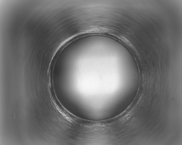 X0000059230838200510140824
